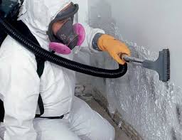 Best Environmental Consulting for Mold Prevention in Fallston, MD